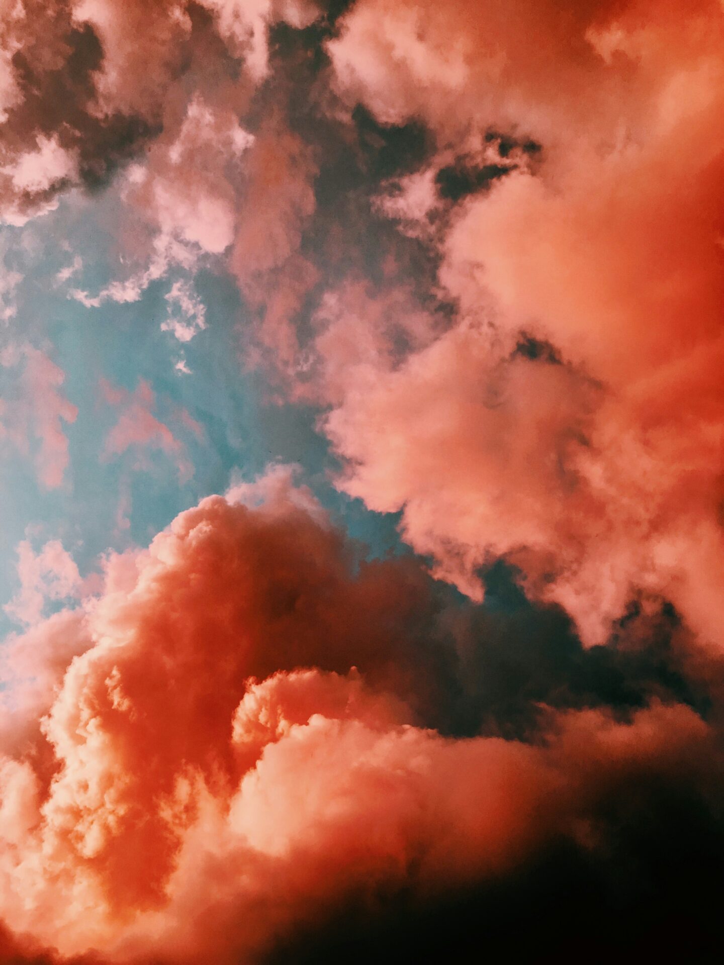 laura-vinck-Hyu76loQLdk-unsplash