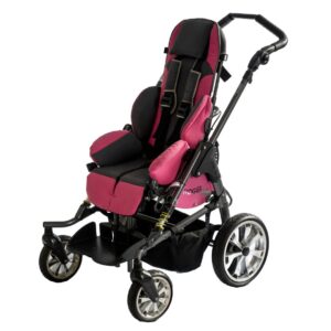 Stroller Bingo Evo