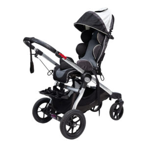 Stroller Zippie Voyage [B]